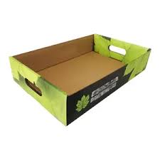 Traycarton1