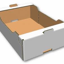 Traycarton3